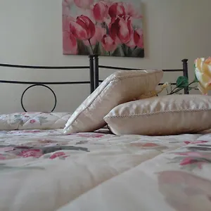 La Camelia Pensión